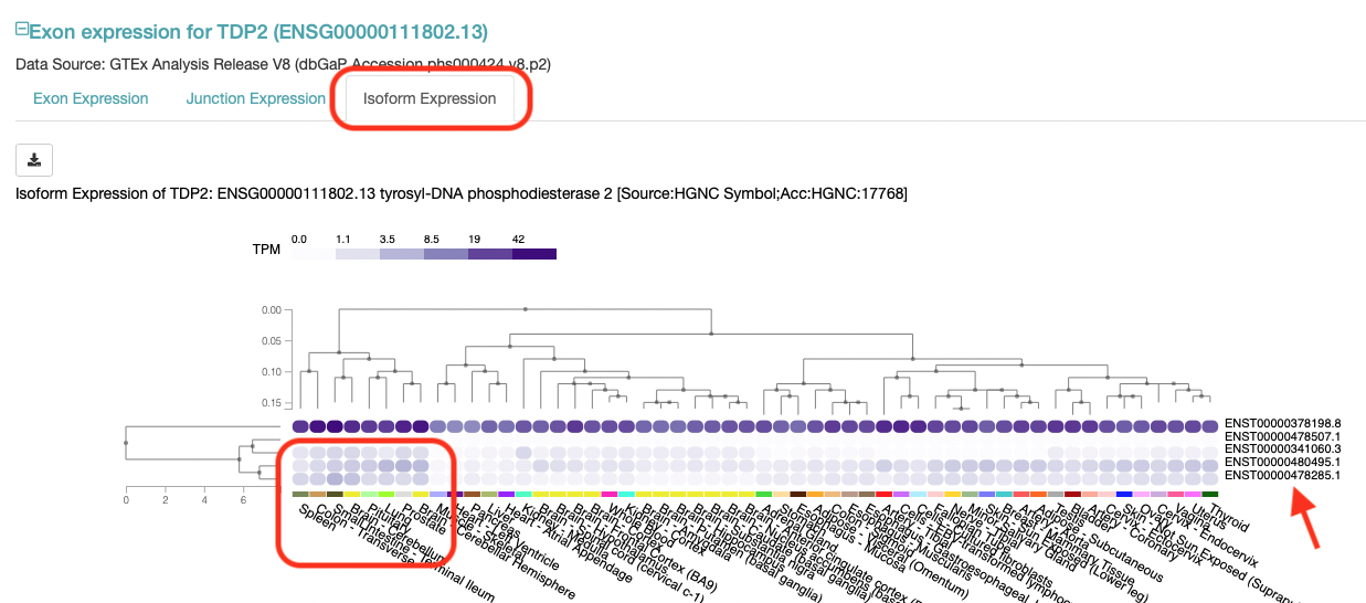 iso expression