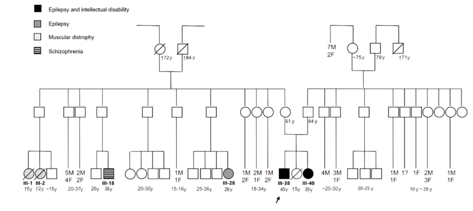 tutoria01 pedigree